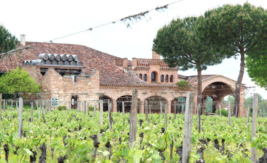 Le Château Saint-Louis au milieu de ses vignes, à Fronton
