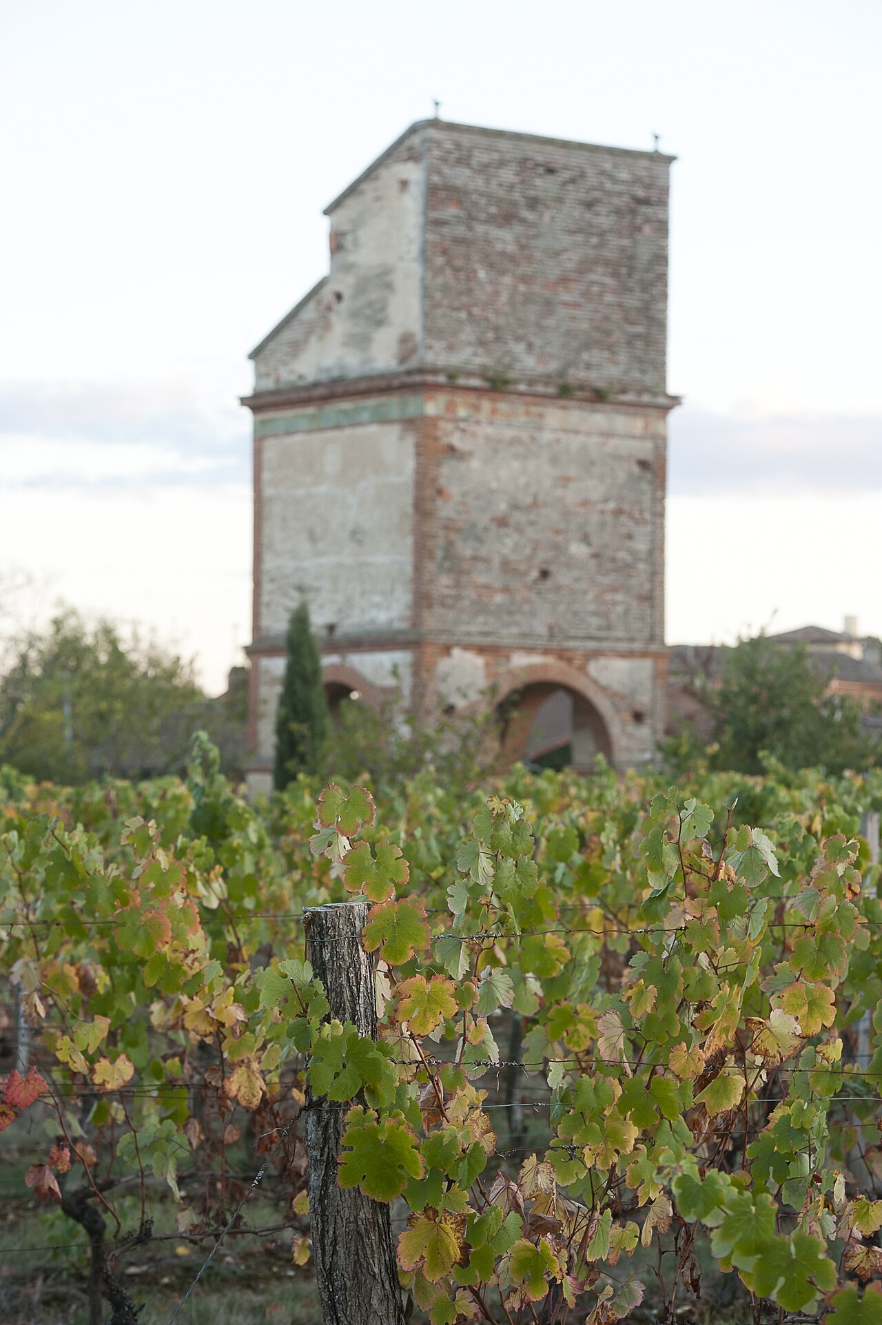 Coteaux du vignoble de Fronton